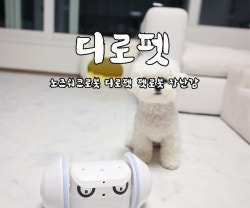 [디로펫] 펫반장 노즈워크 장난감 로봇