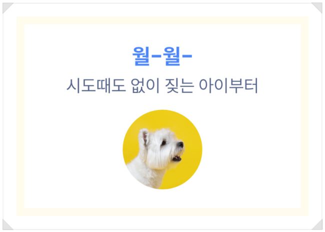 디로펫(dropet) 홈페이지 상세페이지 10 디로펫(dropet) 홈페이지 상세페이지 10