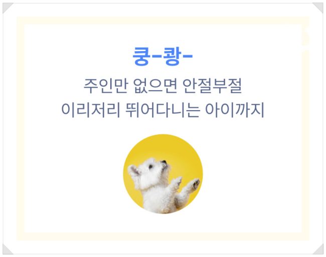 디로펫(dropet) 홈페이지 상세페이지 11 디로펫(dropet) 홈페이지 상세페이지 11